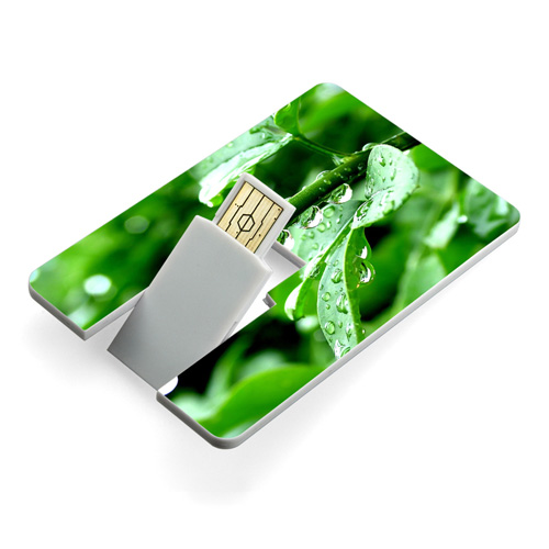 4GB Credit Card USB Flash Drive