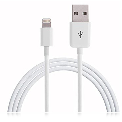 Apple Lightning to USB Cable